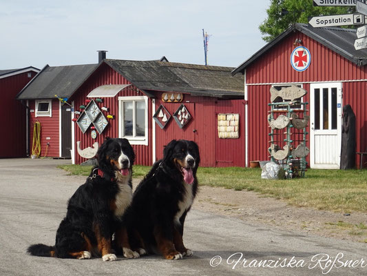 Bummel durch Skåre