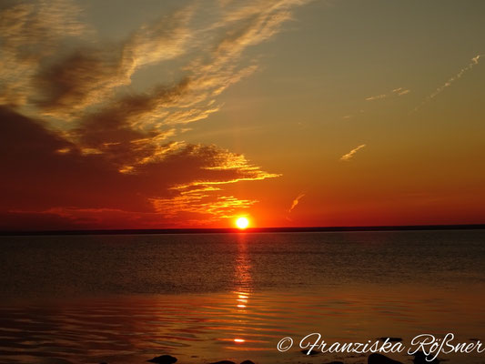 Sonnenaufgang am Kattegat bei Båstad