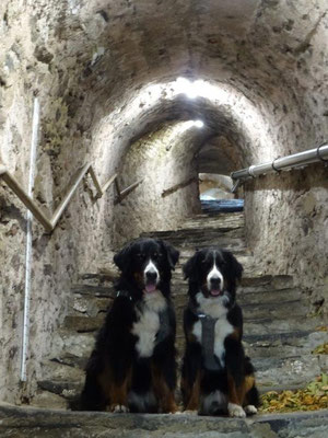 Treppe in Dürnstein