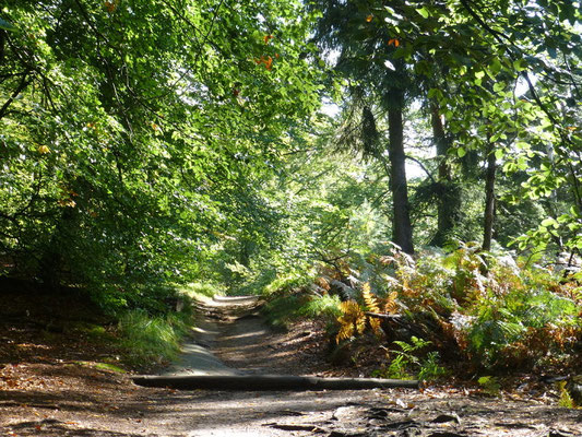 Auf dem Weg zur Heiligen Stiege