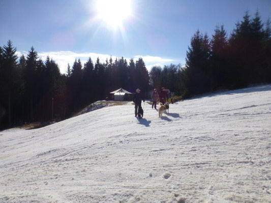 Beim Überqueren der Skipiste ist größte Vorsicht geboten