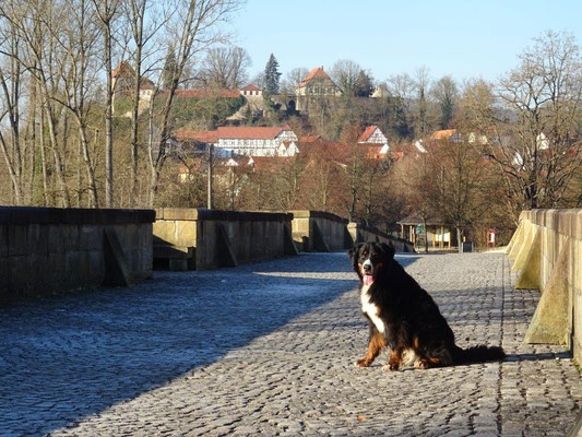 Bis 1986 führte sämtlicher Fahrverkehr über diese alte Sandsteinbrücke