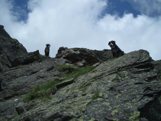 Versicherter Steig zur Hochgangscharte