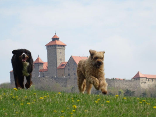 Vreni und Nepomuk vor der Veste Wachsenburg