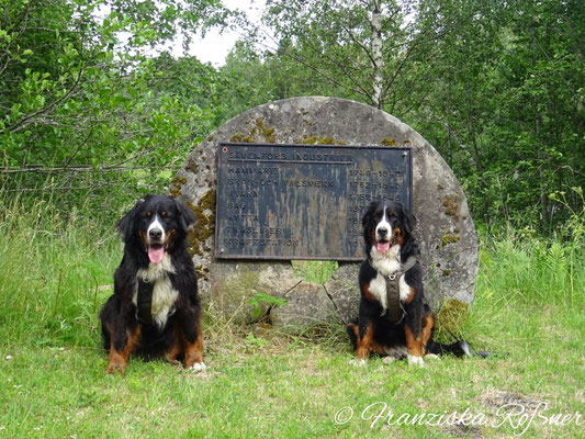 Gedenkstein in Sävenfors