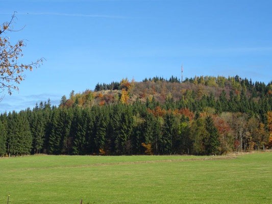 Herbst am Bärenstein