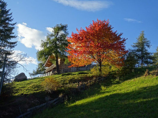 Herbst an der Leadner Alm