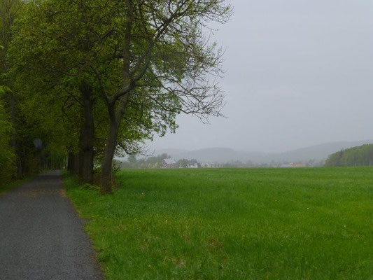 Sommerregen über Rosenthal