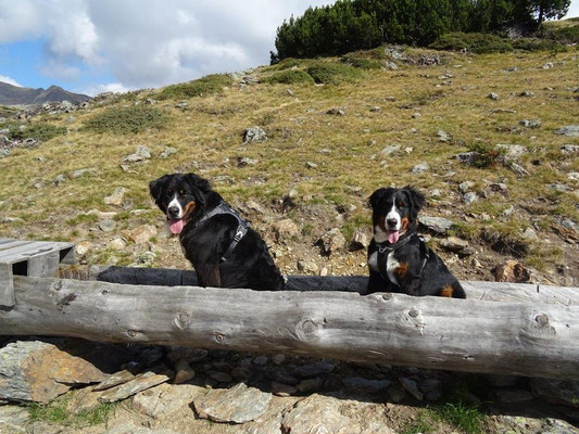 Berner-Badewanne :-)
