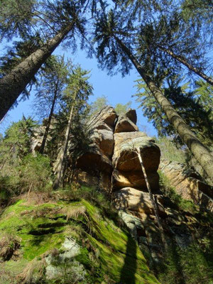 Mächtige Felsen erheben sich im Kirnitzschtal