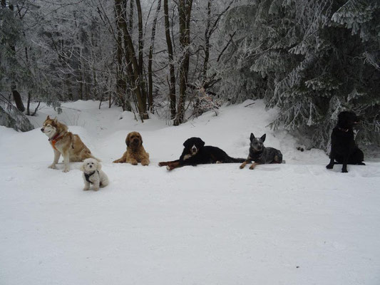 Fellnasen-Gruppenfoto :-)