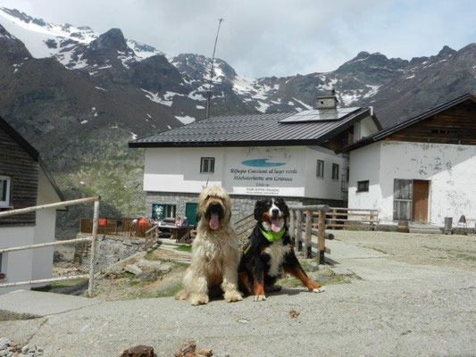 Die Höchster Hütte am Grünsee 