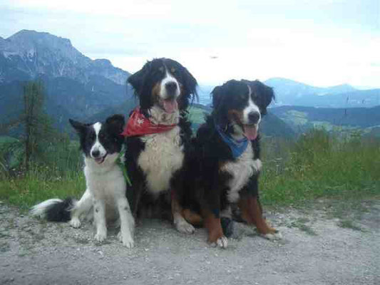 Gipfelfoto auf der Kneifelspitze