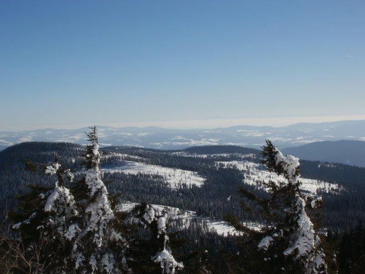 Blick vom Großen Arber über den Bayerischen Wald