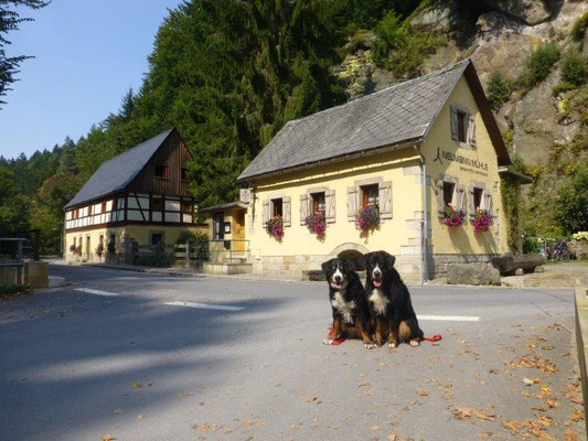 Die Neumannmühle im Kirnitzschtal