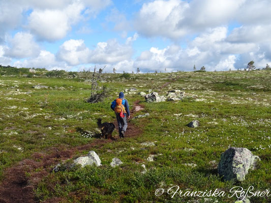 Wandern auf dem Fulufjället