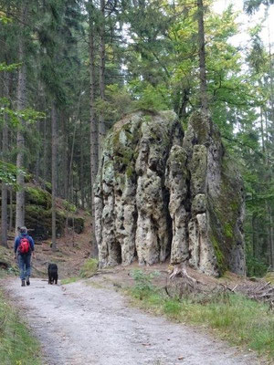 Auf dem Knorrenweg