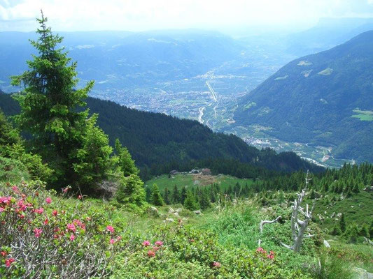 Aufstieg zur Hochgangscharte, unten am Waldrand das Hochganghaus