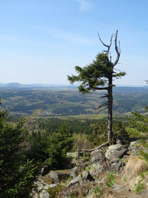 Wundervoller Ausblick vom Haßberg