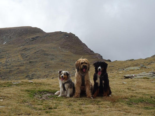 Faye, Nepomuk und Vreni