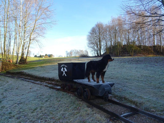 Ein Hunt und ein Hund :-)