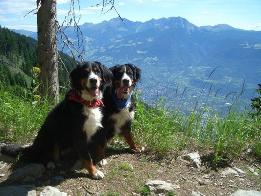 Am Vigiljoch hat man immer wieder schöne Ausblicke...