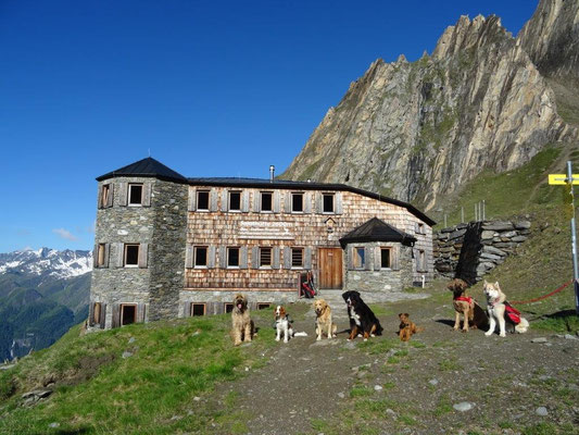 Unsere vierbeinigen Bergkameraden vor der Sajathütte