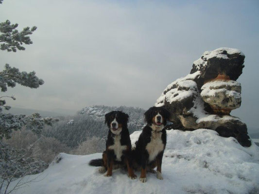 Winter auf dem Papststein