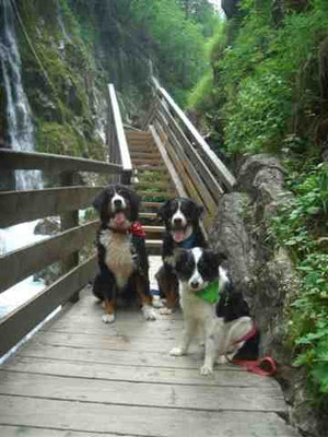 In der Wimbachklamm