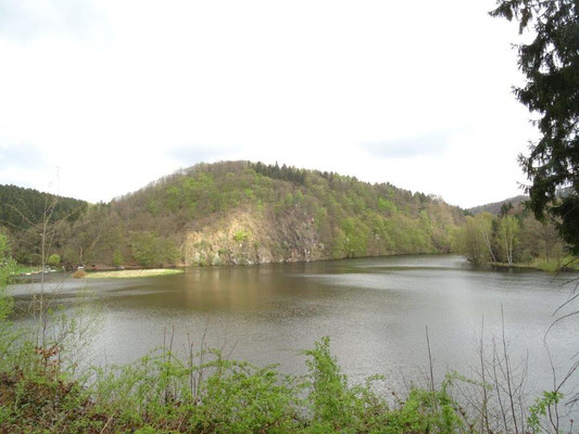 Blick von Lauenhain zum Wappenfels - da müssen wir drüber :-)