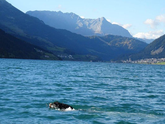 Erfrischendes Bad im Reschensee