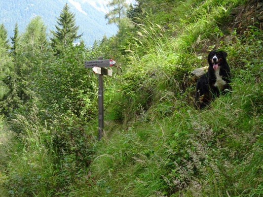 ... mutterseelenalleine - aber dennochkeine Bären getroffen :-)