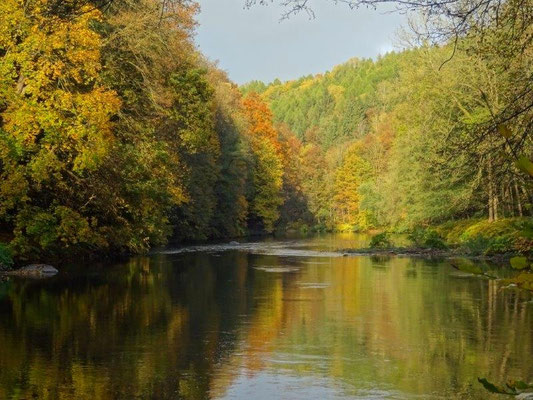 Goldener Herbst im Muldental