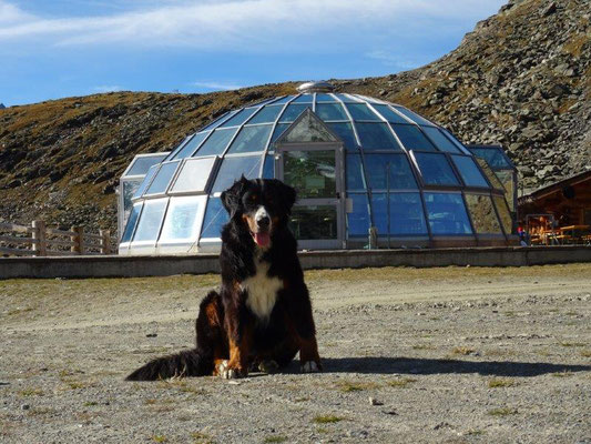 Vreni an der Madritschhütte