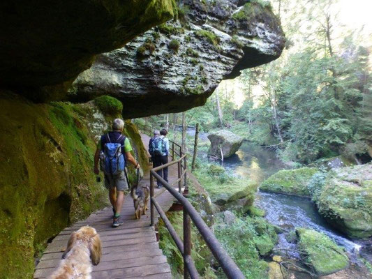 Hundewandergruppe auf dem Weg zur Edmundsklamm