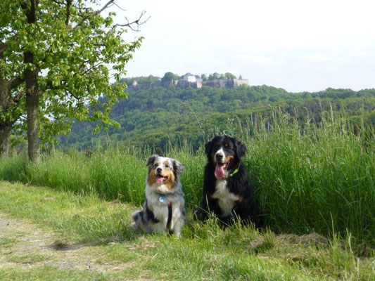 Vreni und Faye vor der Festung Königstein