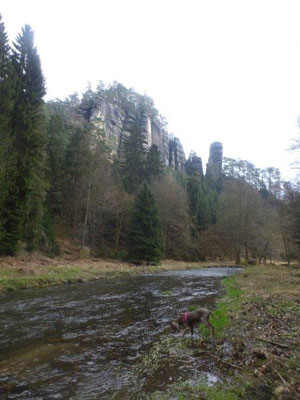 Das malerische Polenztal