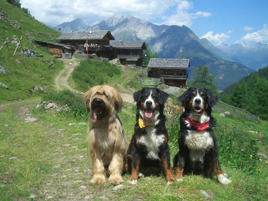 Nepomuk, Gusti und Senta vor den urigen Hütten der Arnitzalm