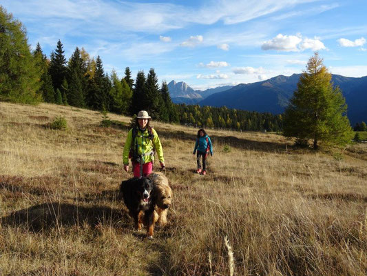 Rodenecker Alm