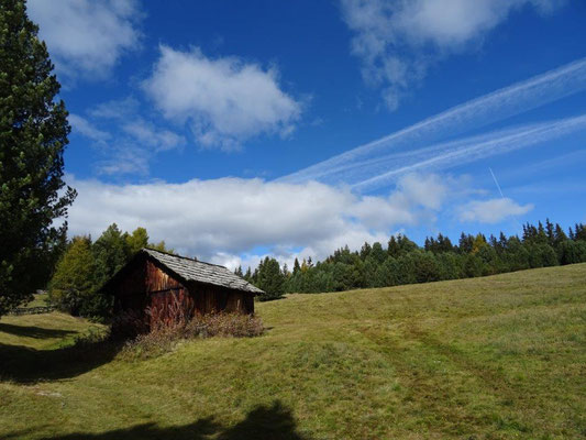 Auf der Rodenecker Alm