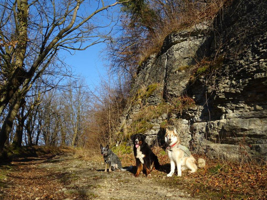 Muschelkalkfelsen säumen den Weg