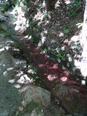 Nicht das Wasser ist rot... :-)