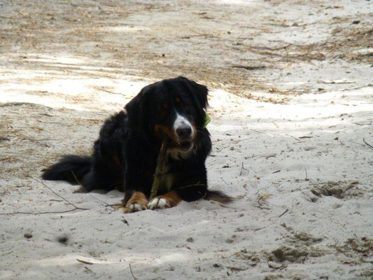 Vreni im Sand am Fuße des Rauensteins