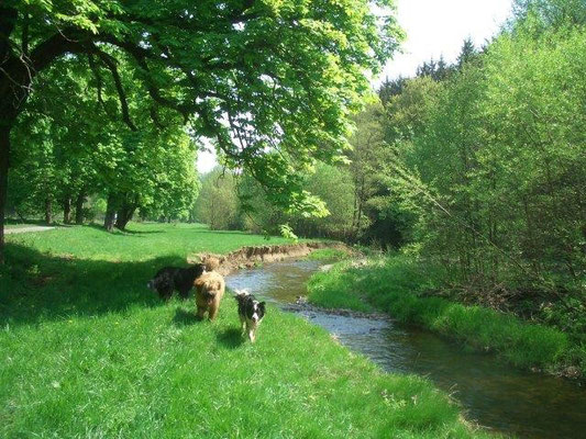 Bernertreffen im Selketal