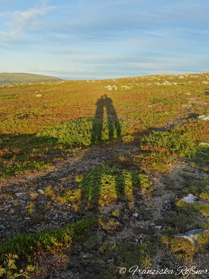 Abendstimmung am Nippfjället