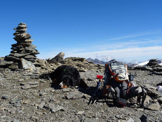 Auf der Hinteren Schöntaufspitze (3325 m)