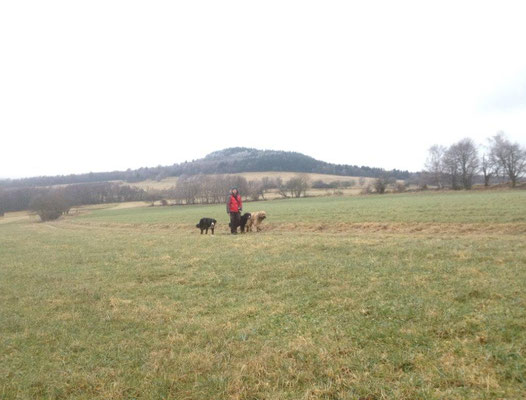 Auf dem Rückweg lichtete sich der Nebel und gab den Blick zurück zum Sattelberg frei