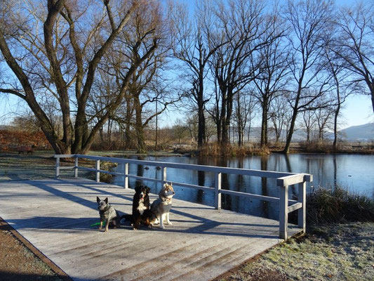 Am Teich vor dem Gutshaus