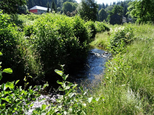 Die Biela an der Schweizermühle