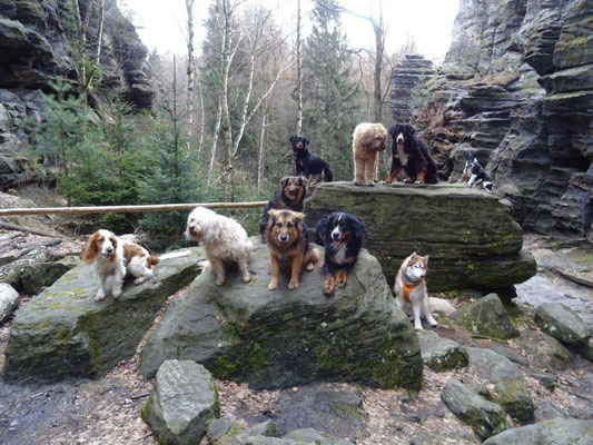 Gruppenfoto an der verlassenen Wand